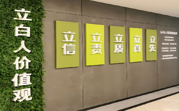 立白辦公室環(huán)境文化設計